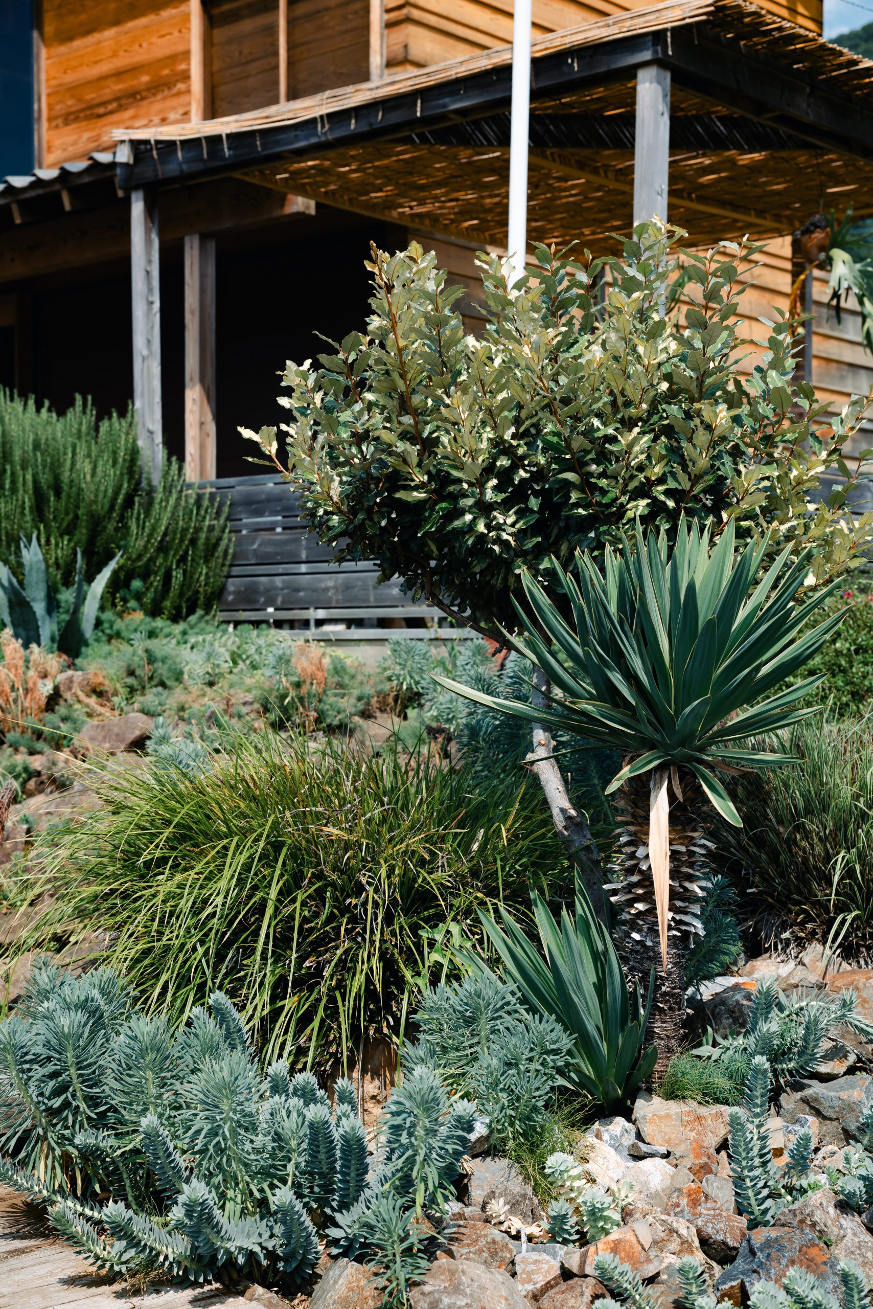 NOT A HOTEL、SANUなどのランドスケープデザインを手掛ける造園家、天野 慶(Kei Amano)にとっての“こだわり”を深掘り | YardWorks/ヤードワークス