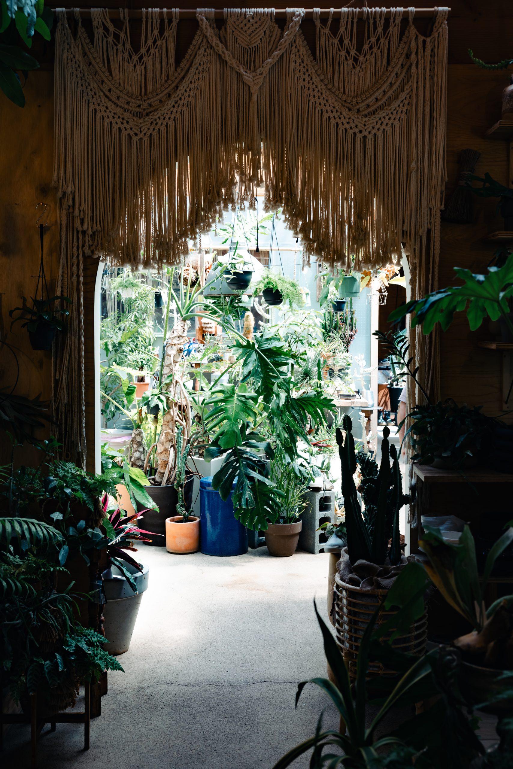 NOT A HOTEL、SANUなどのランドスケープデザインを手掛ける造園家、天野 慶(Kei Amano)にとっての“こだわり”を深掘り | YardWorks/ヤードワークス